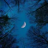 B.O croissant de lune
