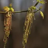 DSC06306
