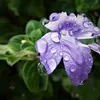 DSC06258