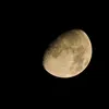 DSC05637