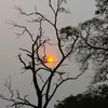 DSC05774