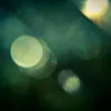 DSC06320