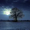 DSC05780